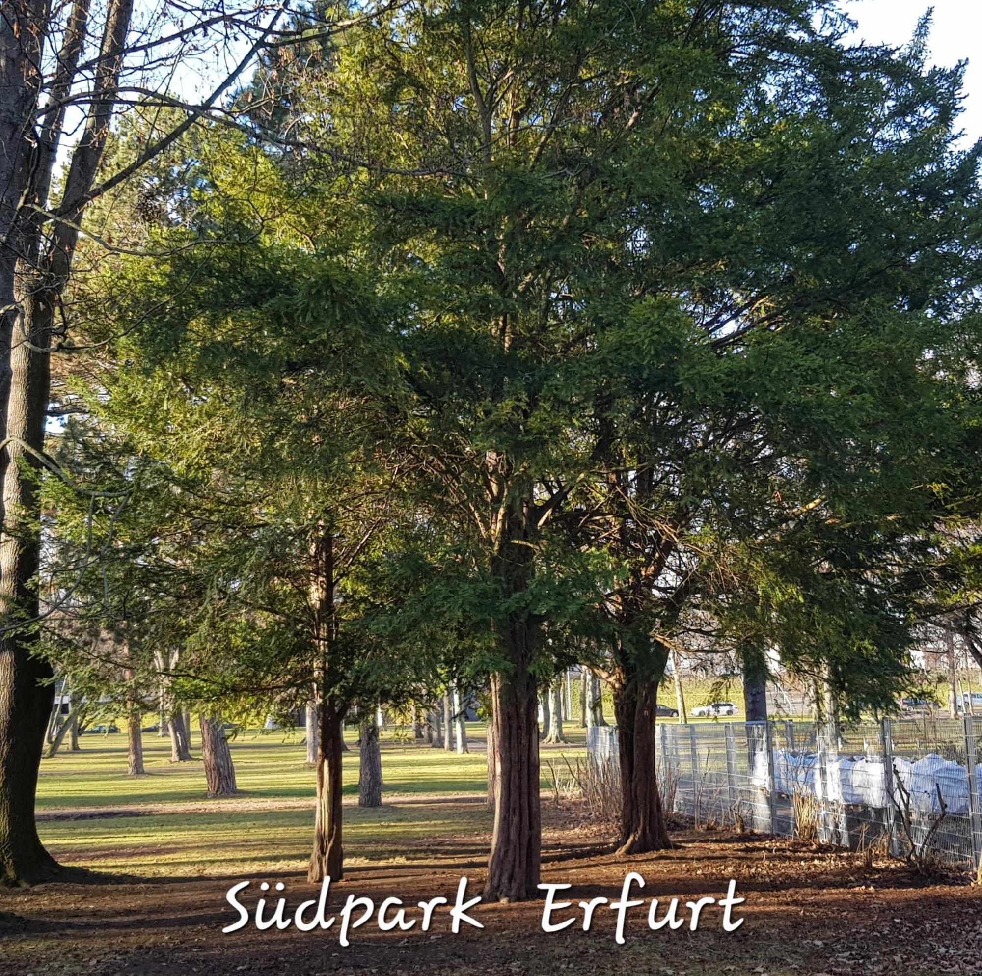 Apartment am Südpark Érfurt Exterior foto